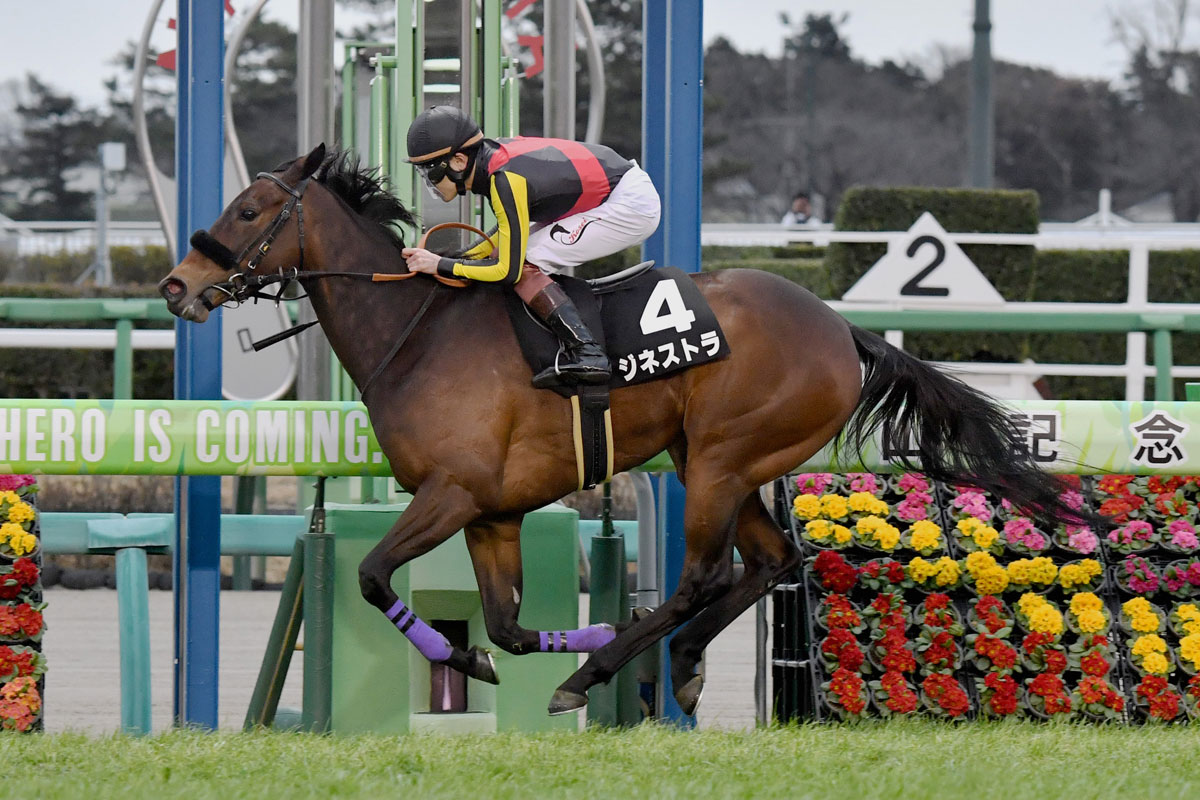 三浦皇成がJRA通算1000勝達成！ リーチから71戦目で重みある