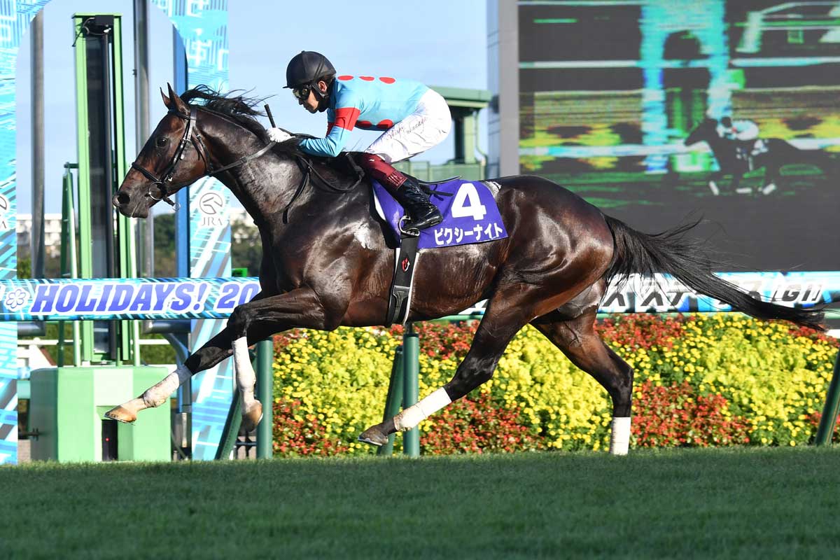 高松宮記念登録馬】短距離王ピクシーナイト復帰戦 アグリ、ヴェント