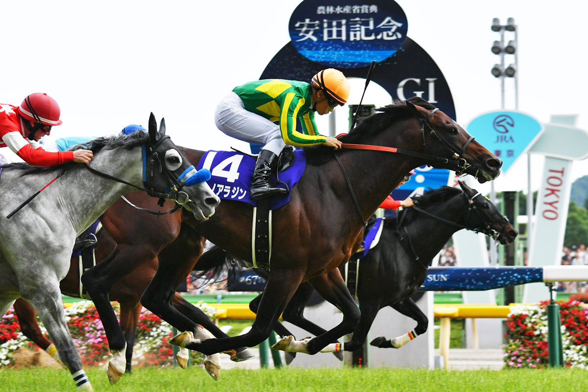 南半球で大活躍！サトノアラジン産駒初のGⅠ勝利はニュージーランド