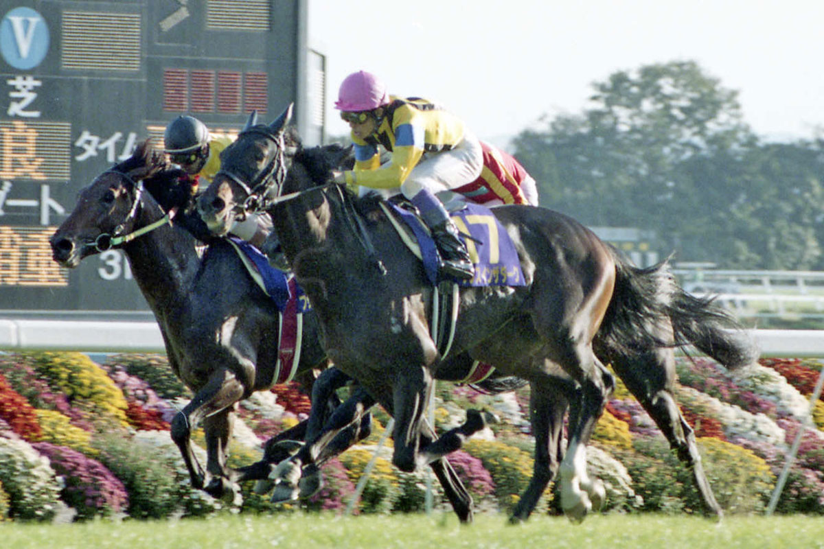 1996年皐月賞馬イシノサンデー31歳で死す「無事これ名馬を体現 