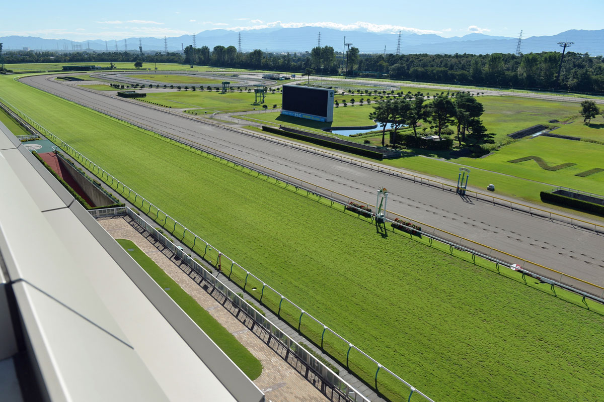 【JRA】最終レースを18時30分ごろに実施予定 2024年夏季競馬より暑熱対策として | 競馬ニュース・特集なら東スポ競馬