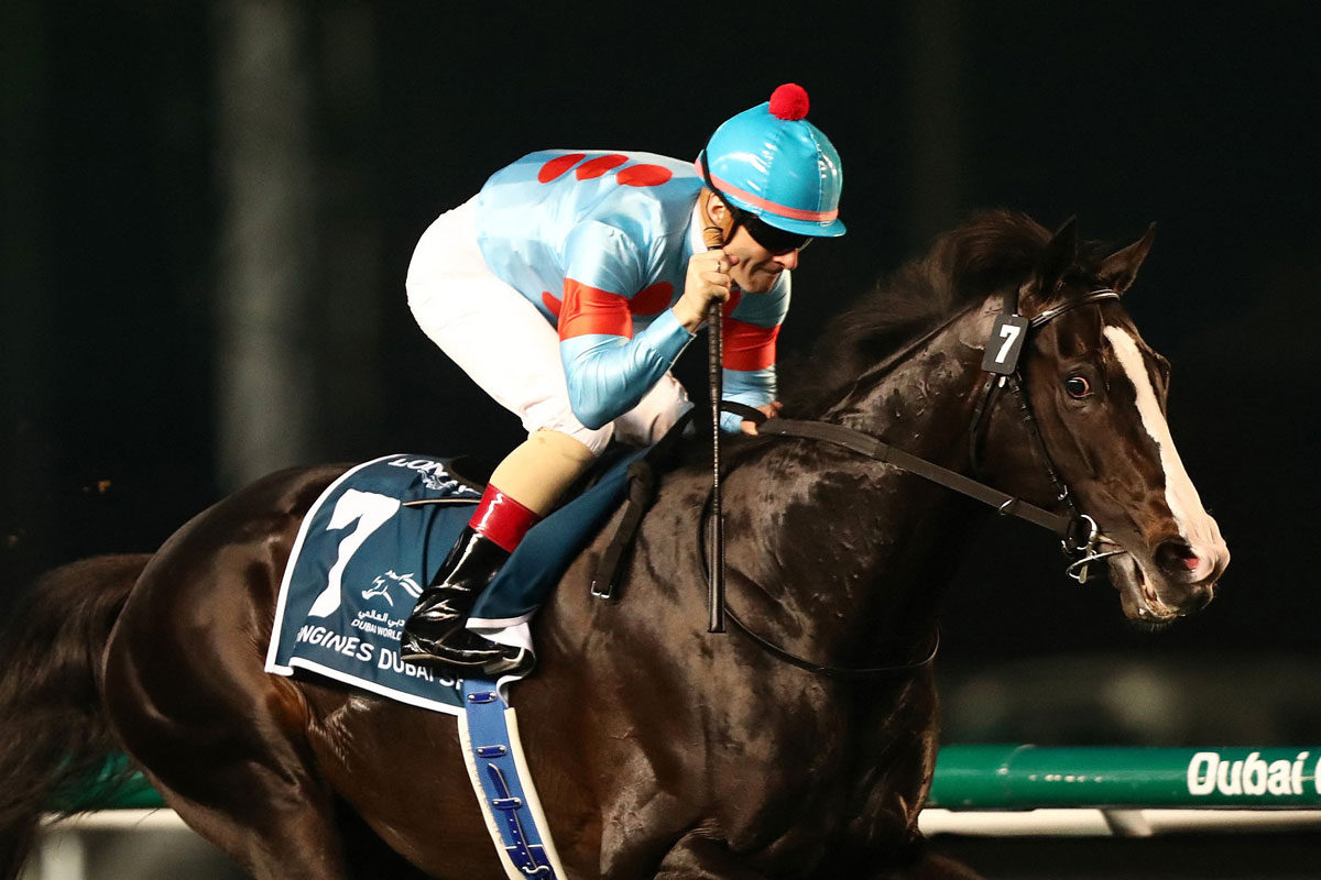 イクイノックス一覧 | 競馬ニュース・特集なら東スポ競馬