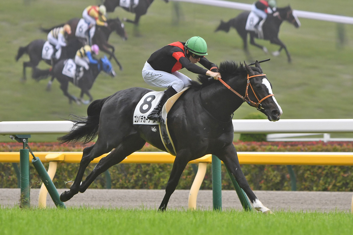2歳新馬】またまたレーン！またブリックスアンドモルタル産駒 ゴンバ