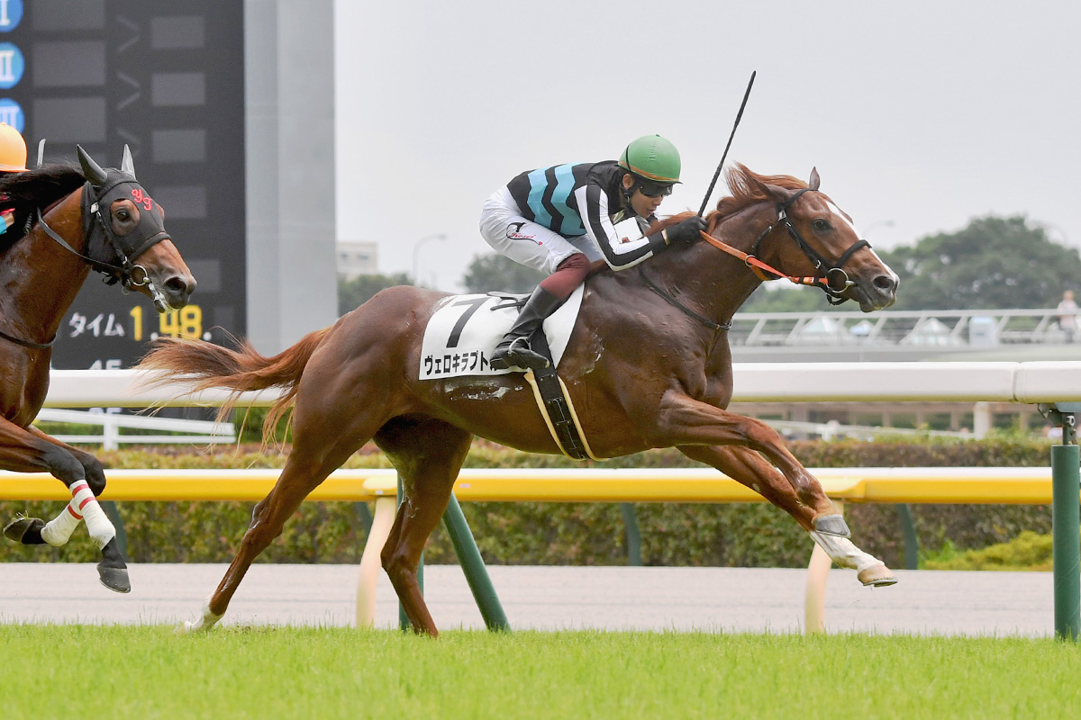 ⑩◆競馬　JRA◆　ハーツクライ　スワーヴリチャード　◆　親子ストラップ　◆ 2歳新馬】ヴェロキラプトルが逃げ切りV スワーヴリチャード産駒は初