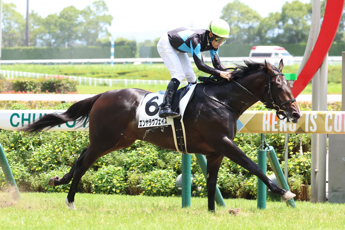 エイシンヒカリ産駒エンヤラヴフェイスが5馬身差V 「お行儀良くいい