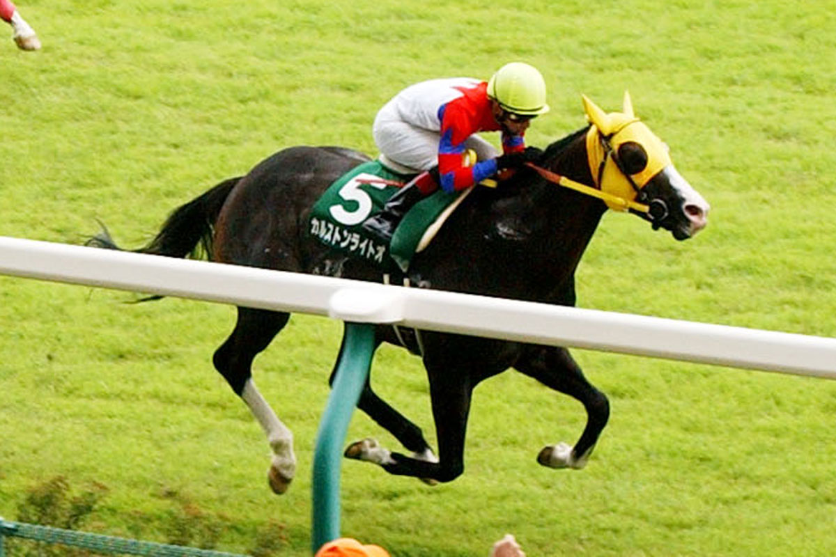 2004年・アイビスサマーダッシュ】カルストンライトオは直線競馬の 