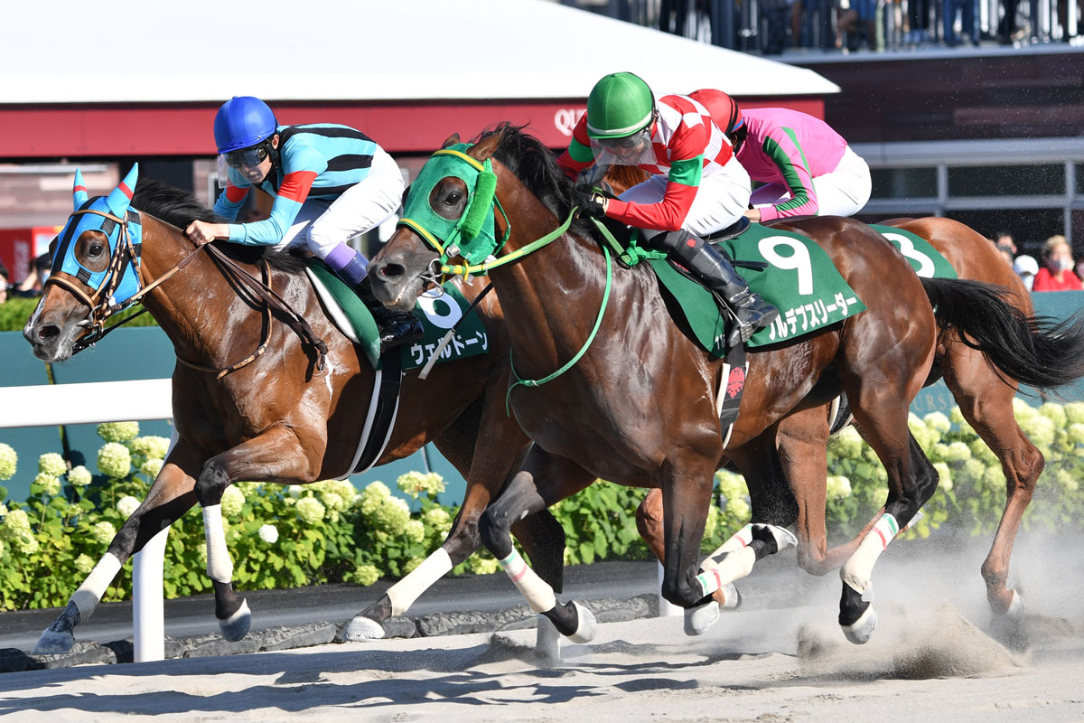 競馬 ゼッケン 有馬記念 グラスワンダー サイン入り 堅く