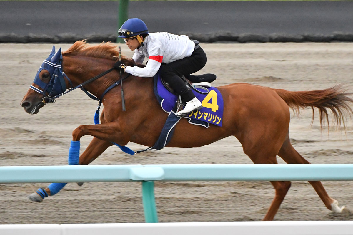 ユニコーンステークス結果＆コメント】カナルビーグル快勝 吉村誠之助