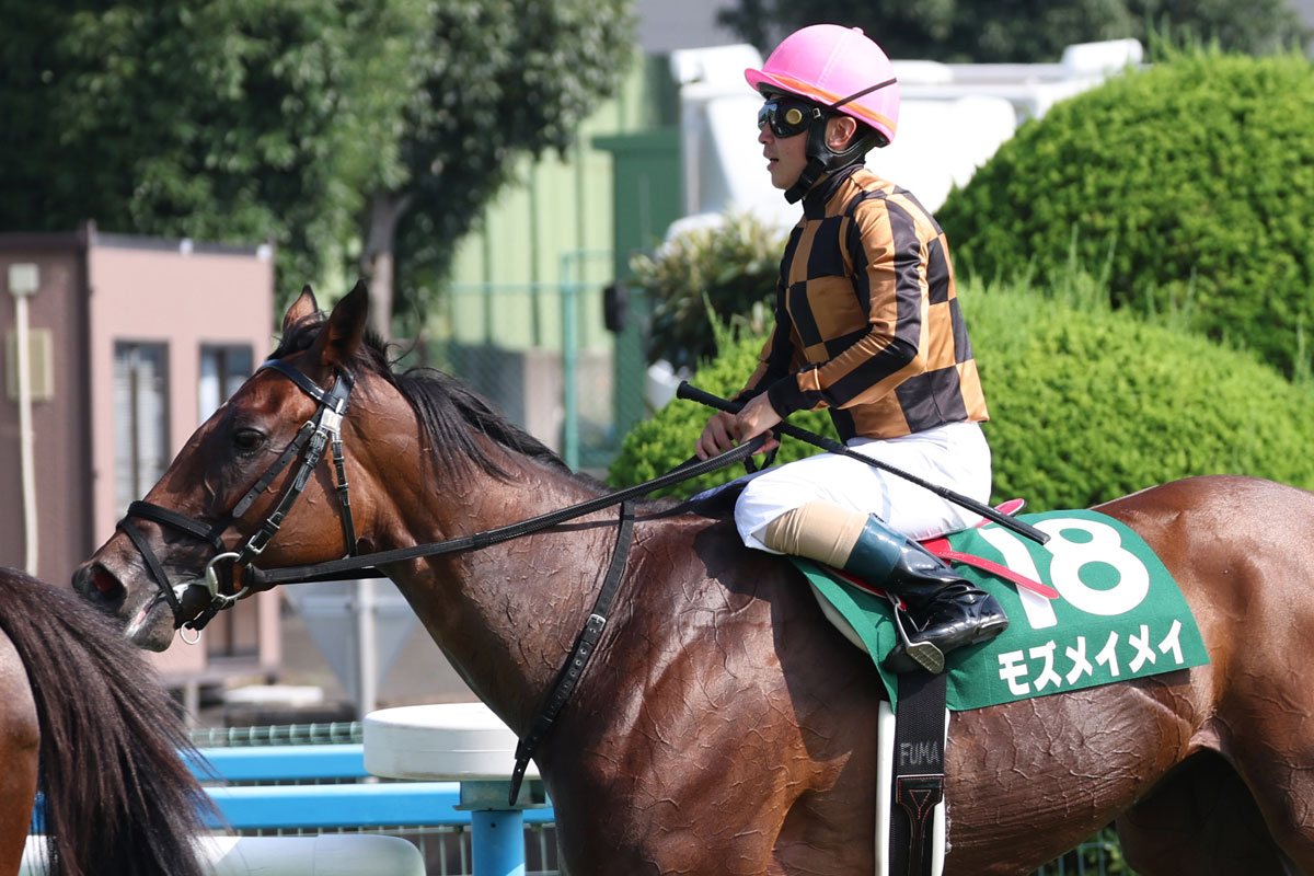 スプリンターズS一覧 | 競馬ニュース・特集なら東スポ競馬