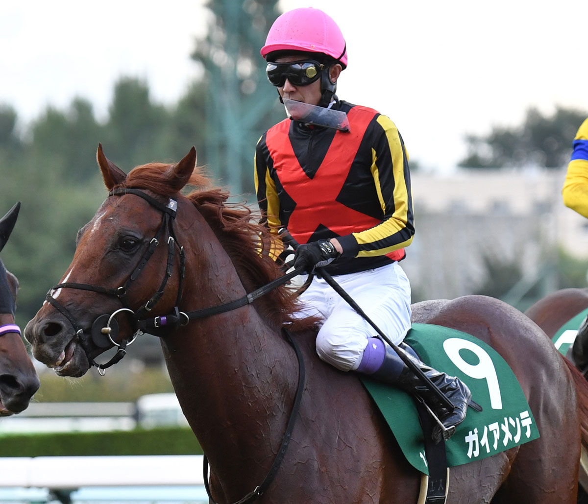 札幌2歳S】1番人気ガイアメンテはまさかの6着 武豊「レース前に 