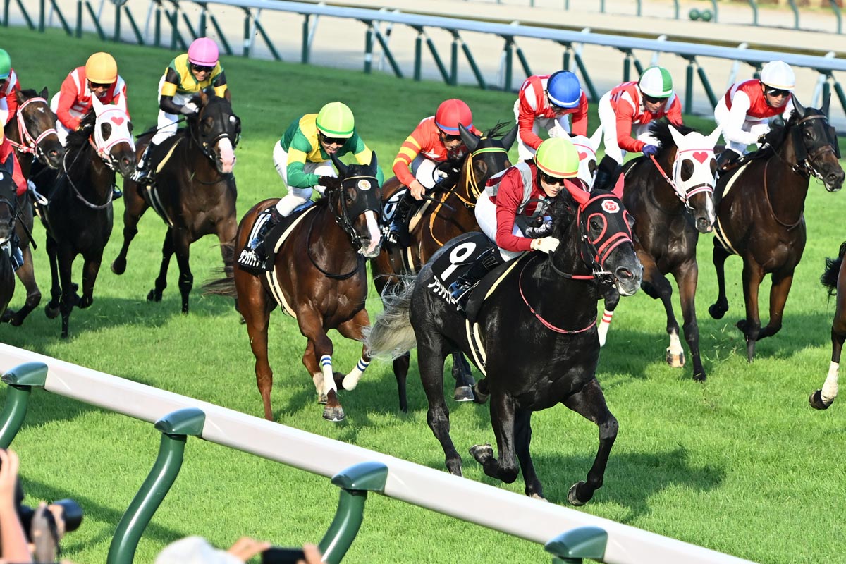 中山記念】パンサラッサ「逃げたら強い」を実証する2馬身半差完勝劇