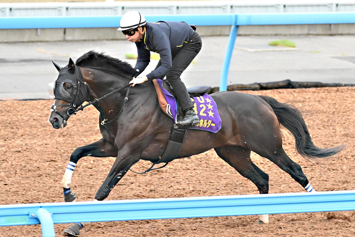 オールカマー 追い 切り