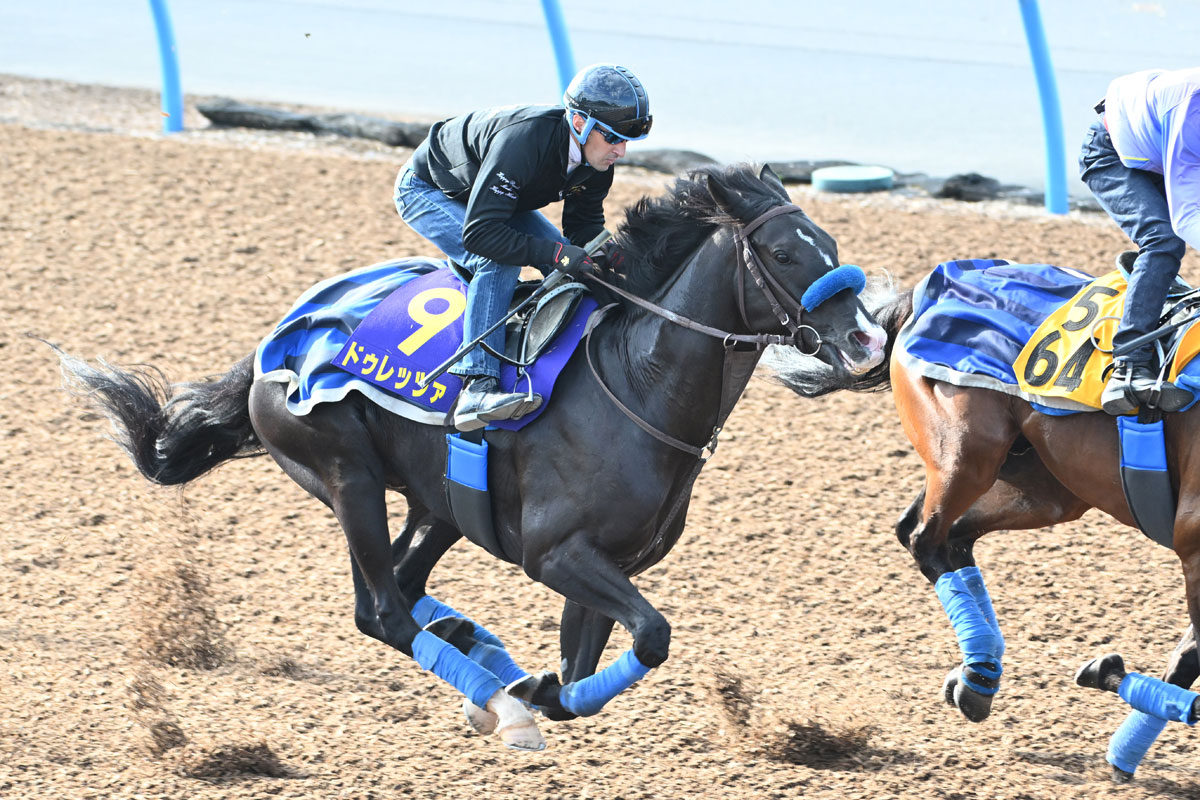 菊花賞・追い切り】5連勝で菊制覇狙うドゥレッツァはルメールを背に