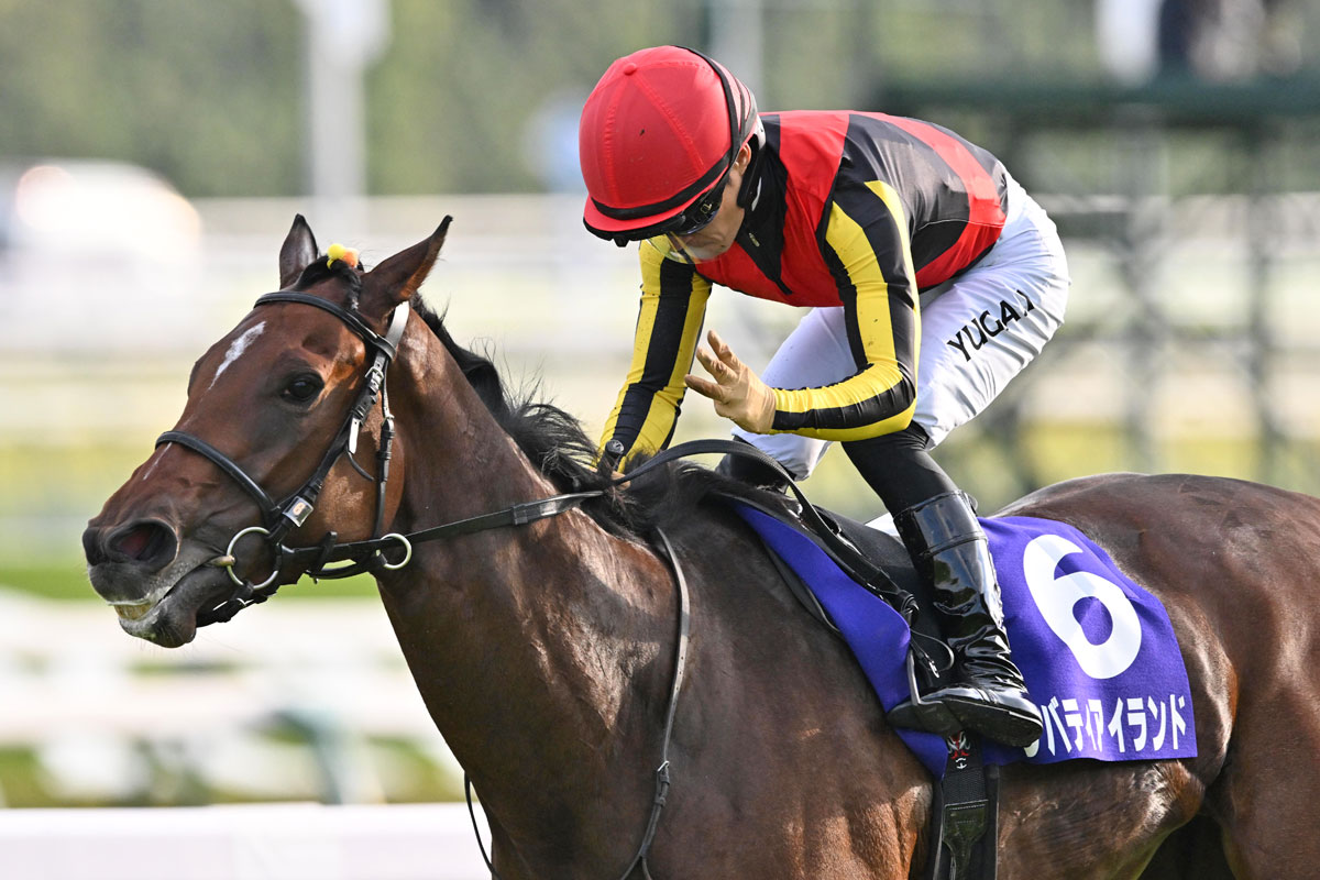 3冠牝馬リバティアイランドは川田とのコンビでジャパンC参戦へ イク 