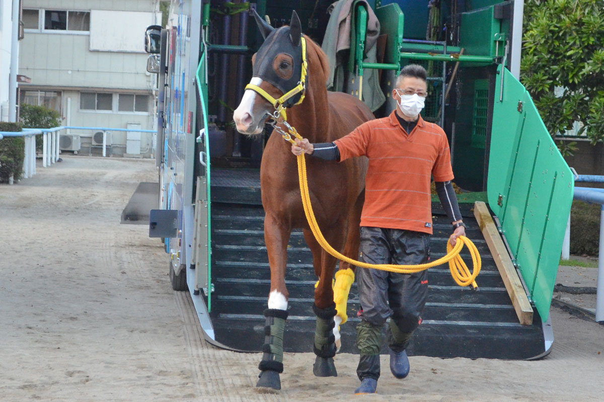 合う馬 天皇賞秋】完全燃焼願うジャックドール「自分の競馬で」 鞍上に期待