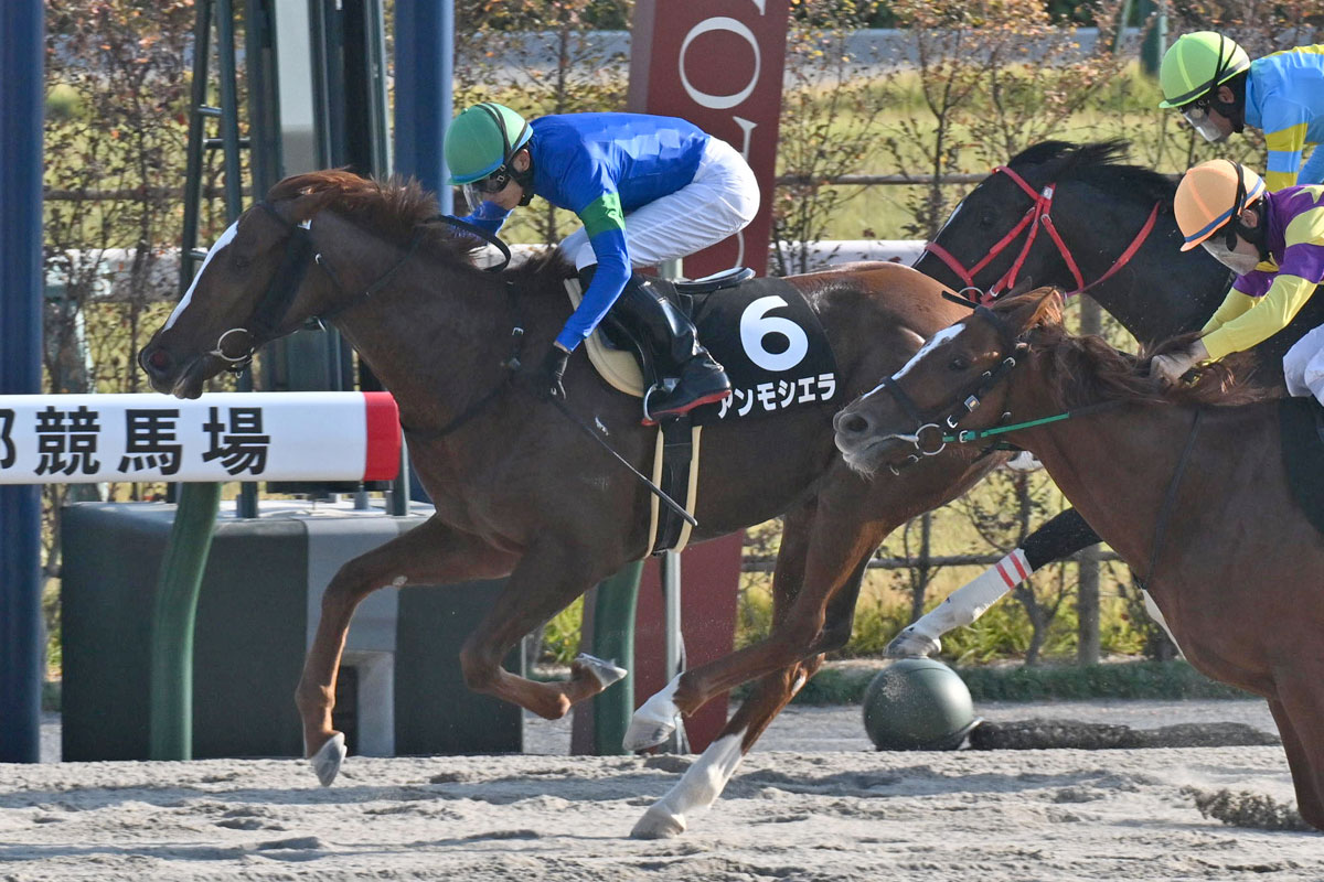 もちの木賞】アンモシエラが粘り腰で2勝目 〝偉大な先輩〟昨年の勝ち