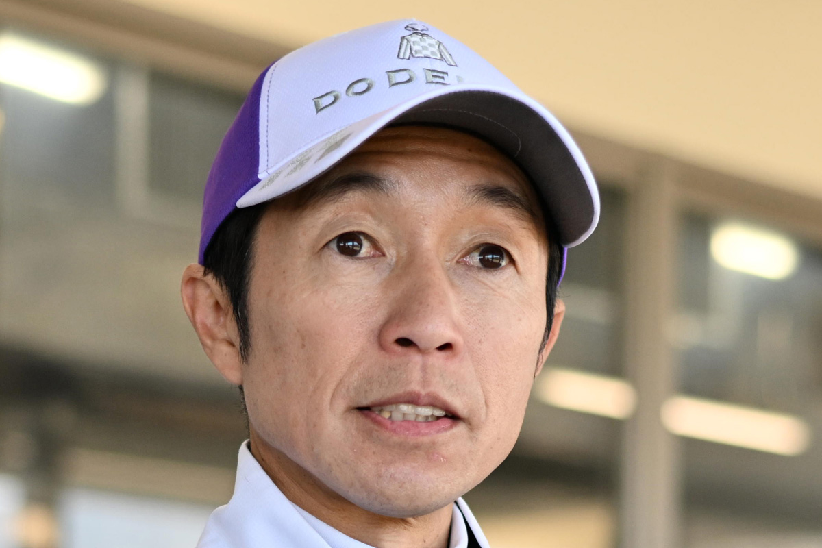 武豊 予定