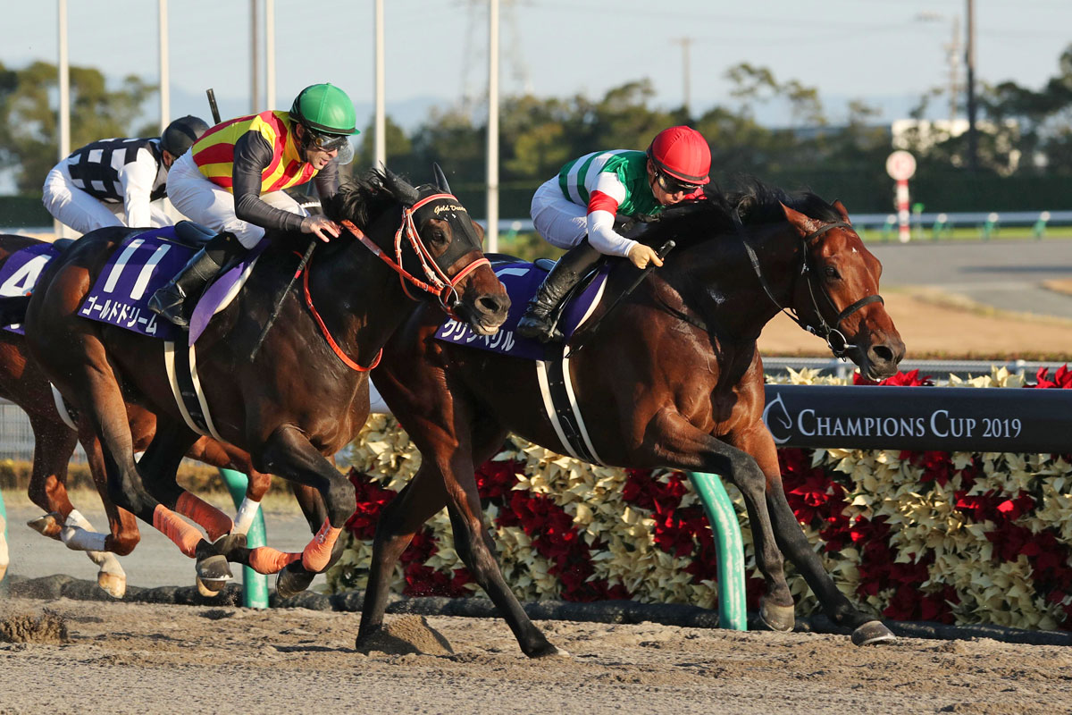 草競馬 オートマタ （オマージュ品） （白井元調教師と学ぶ血統学 