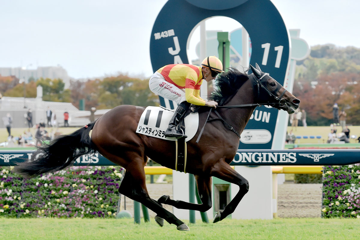 2歳新馬】キズナ産駒のジャスティンミラノが完勝 マーカンド「強い馬