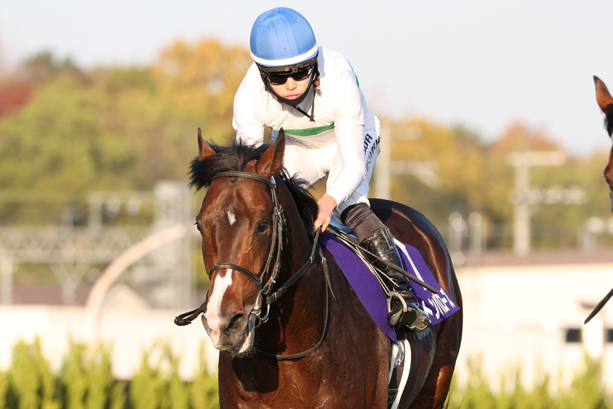 マイルCS】3歳馬エルトンバローズは4着 連勝ストップも西村淳は