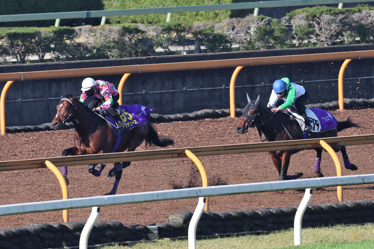 ジャパンC展望】最強イクイノックスを止める馬は？ 3冠牝馬リバティ