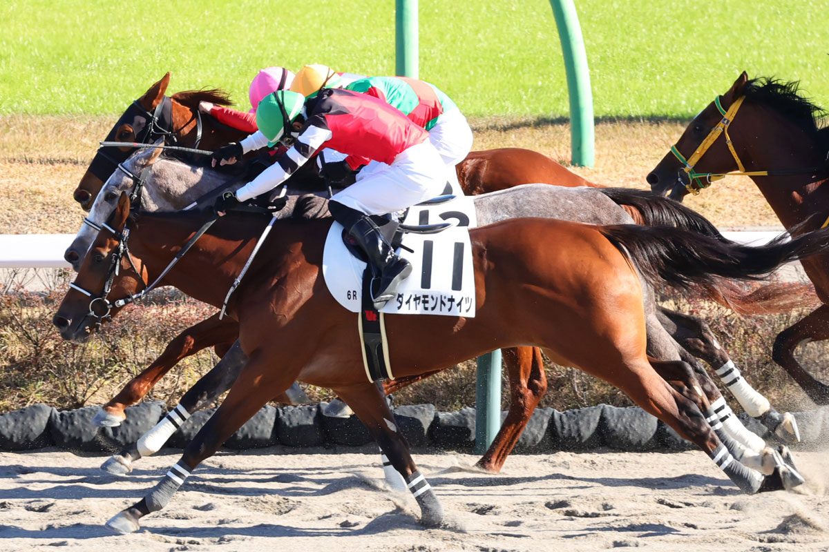 2歳新馬】10番人気ダイヤモンドナイツが勝利 好騎乗の丹内「気を