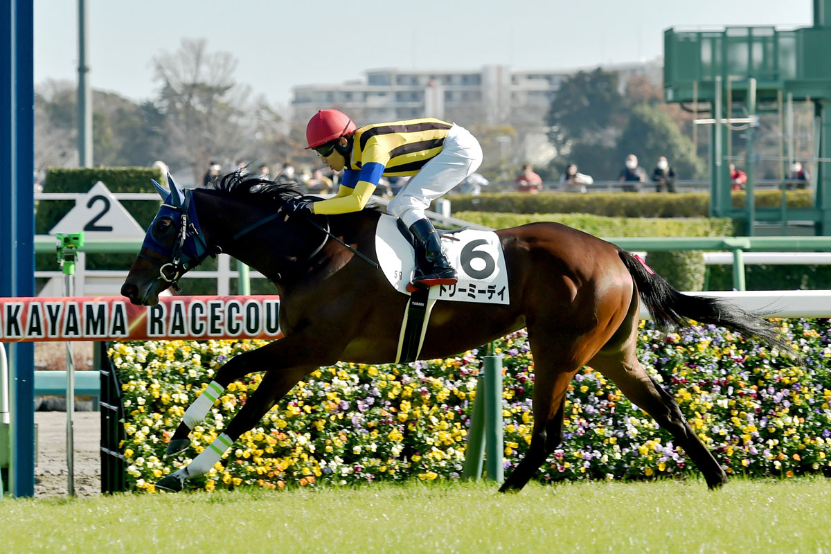 【2歳新馬】凱旋門賞馬デインドリームの子ドリーミーデイがV 田辺の冗談も炸裂「まさか1番人気になるとは」 | 競馬ニュース・特集なら東スポ競馬