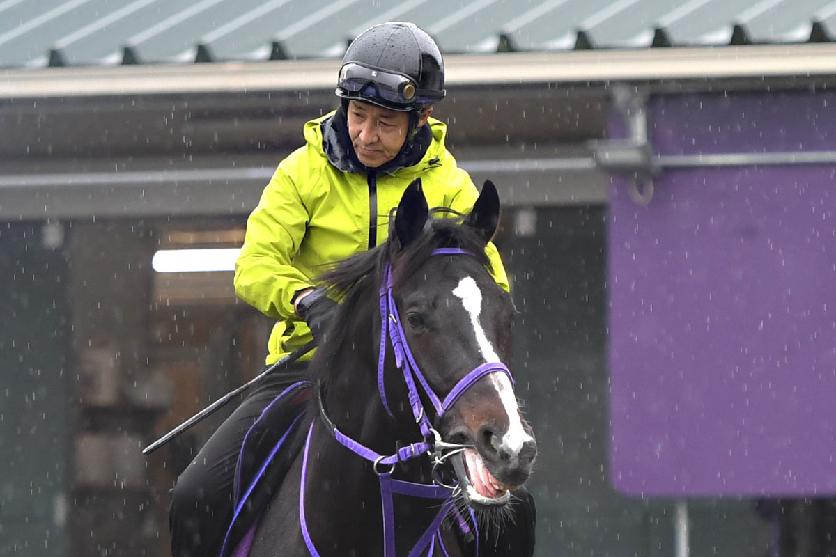 ブラックタイド　皐月賞 2歳新馬】ブラックタイド産駒ターコイズフリンジが初陣突破