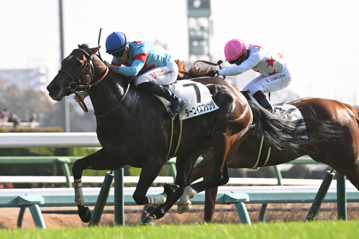 2歳新馬】ブラックタイド産駒ターコイズフリンジが初陣突破