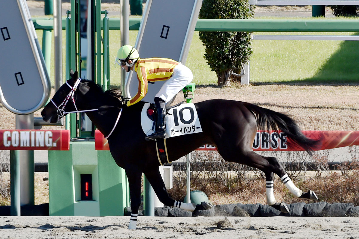 【2歳新馬】10馬身差の圧勝！4番人気ボーイハンターがド派手デビューV 丹内「強かったですね」 | 競馬ニュース・特集なら東スポ競馬
