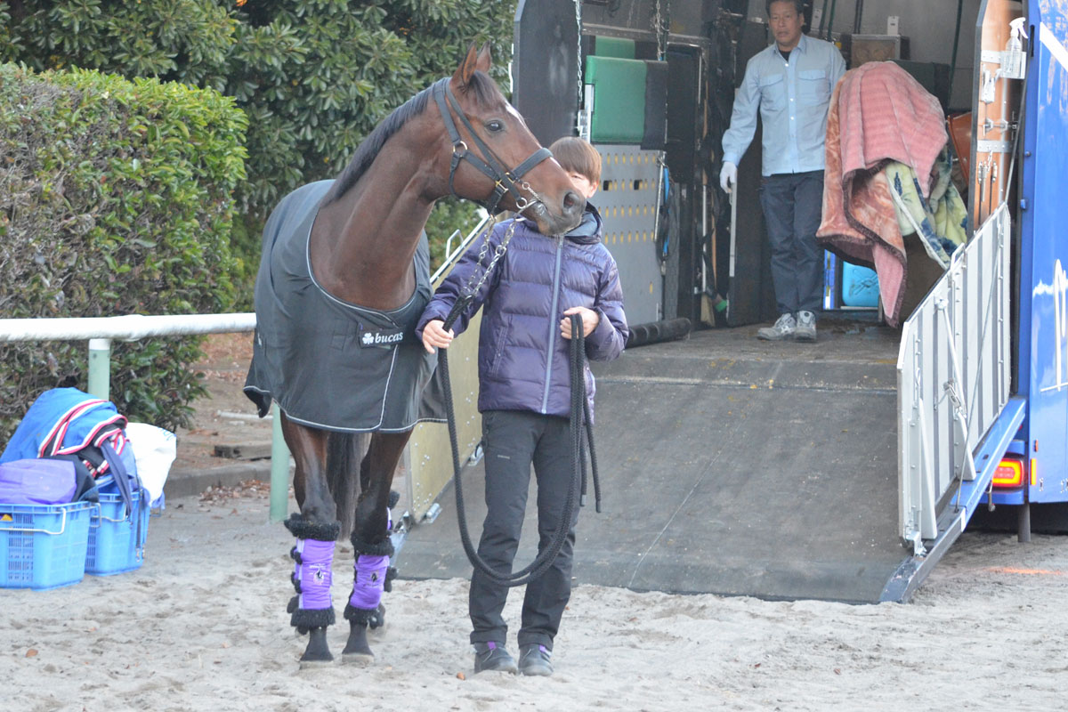 有馬記念】完全復活期すダービー馬ドウデュースが中山競馬場に到着