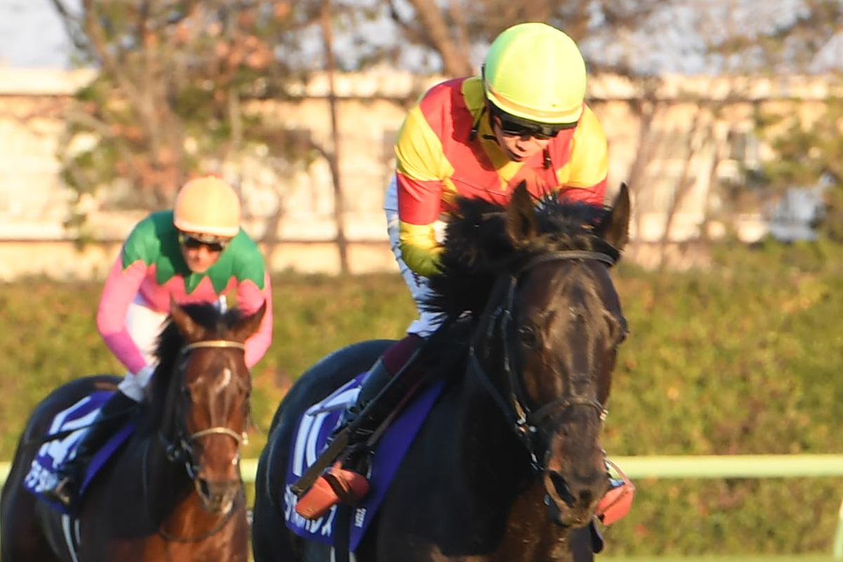 有馬記念】1番人気ジャスティンパレスは最後方から追い上げるも4着