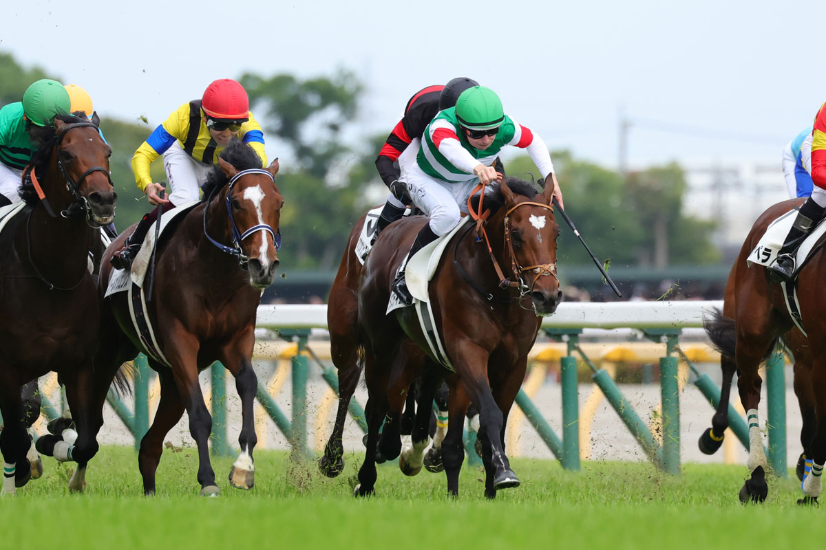 競馬 の 魅力
