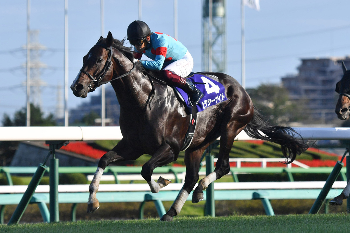 ピクシーナイトが引退 ブリーダーズ・スタリオン・ステーションで種 