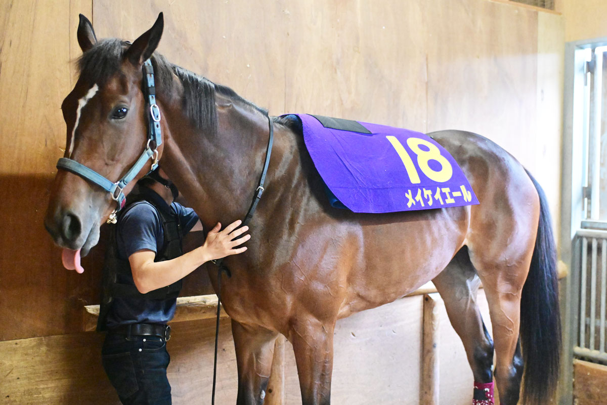 メイケイエールは京都牝馬Sから高松宮記念へ【次走報】 | 競馬