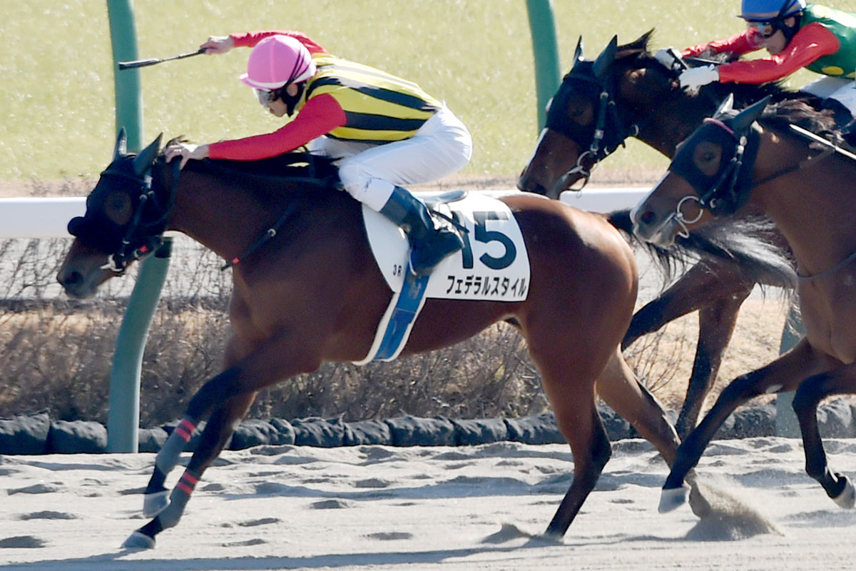 3歳新馬】3連単は52万3620円の〝お年玉馬券〟 5番人気の