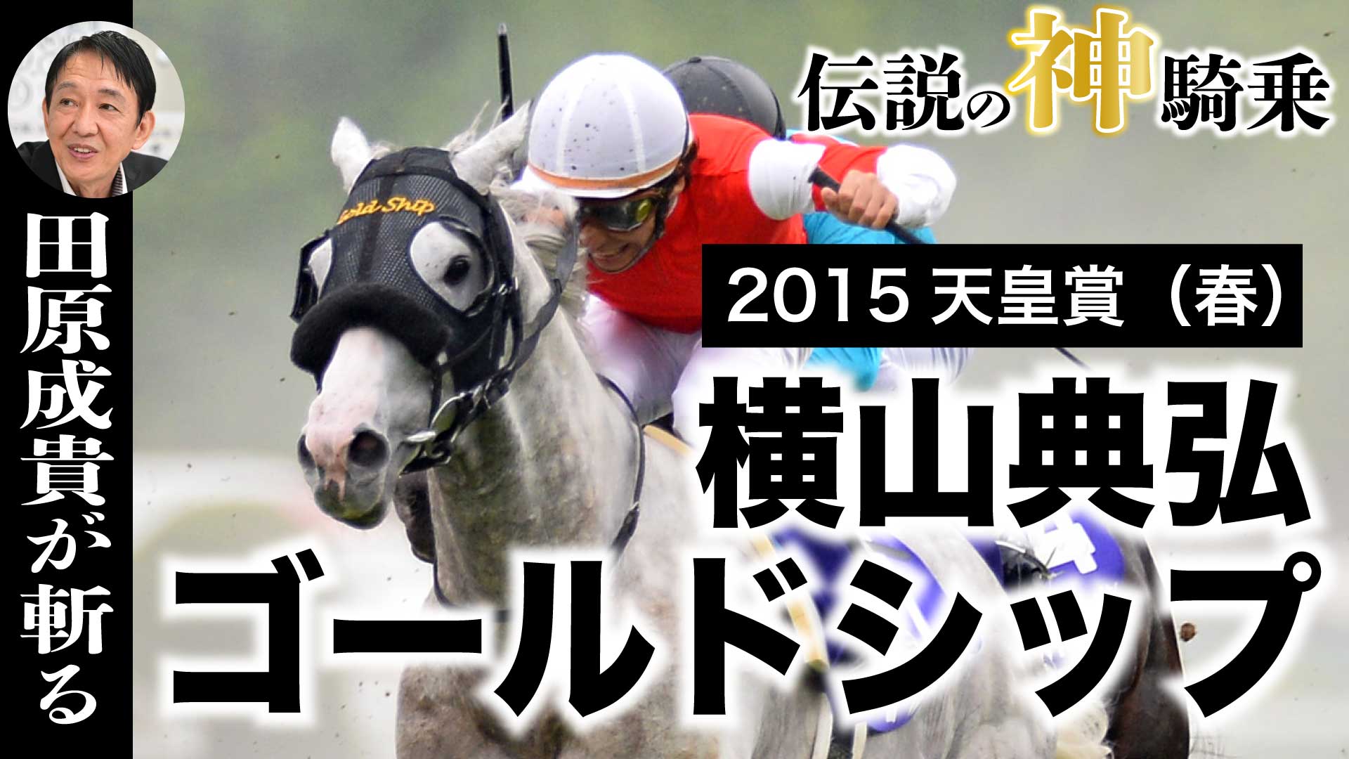 伝説の神騎乗「2015天皇賞・春」】ゴールドシップvs横山典弘【田原成貴