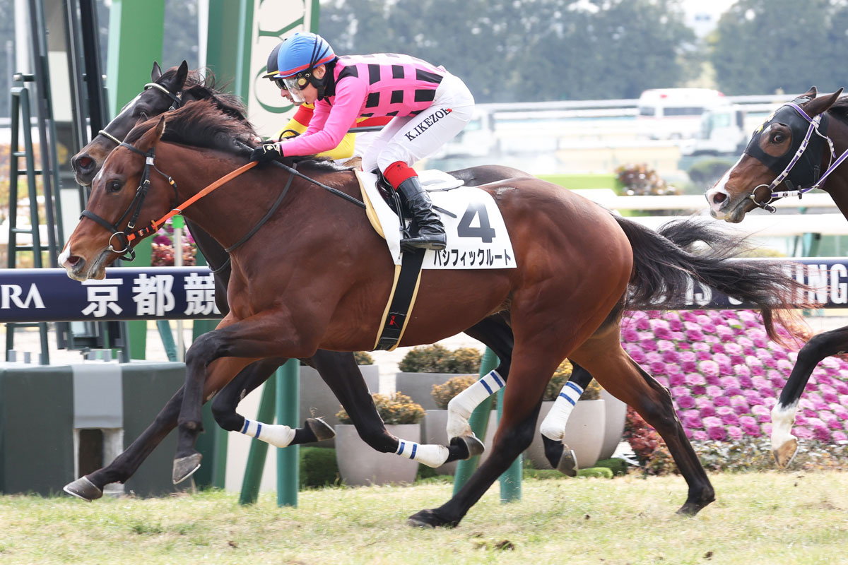 3歳新馬】ロードカナロア産駒パシフィックルートが勝利 池添