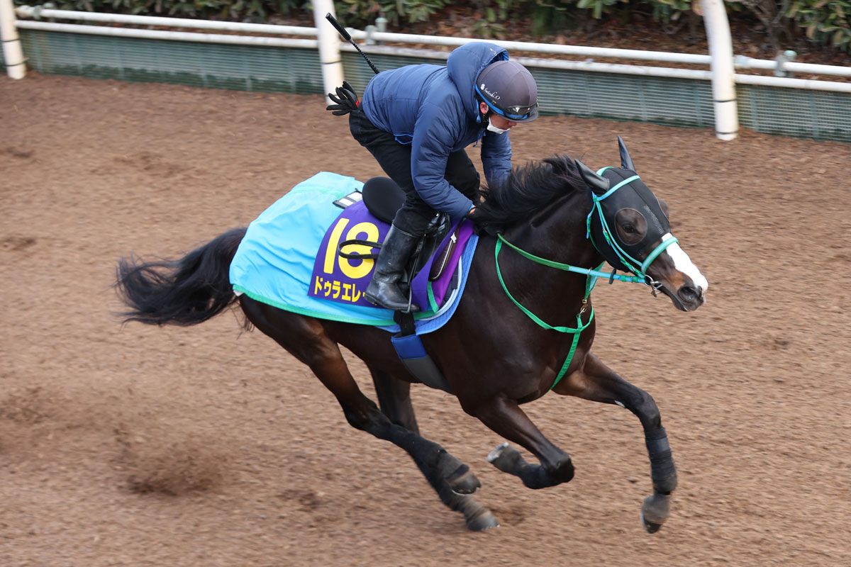 フェブラリーS・厩舎直送】ドゥラエレーデが史上4度目の偉業へ