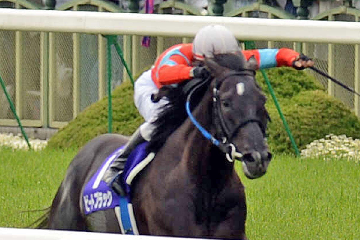 ビートブラック急死 骨盤を骨折 管理した中村均元調教師「非常に残念