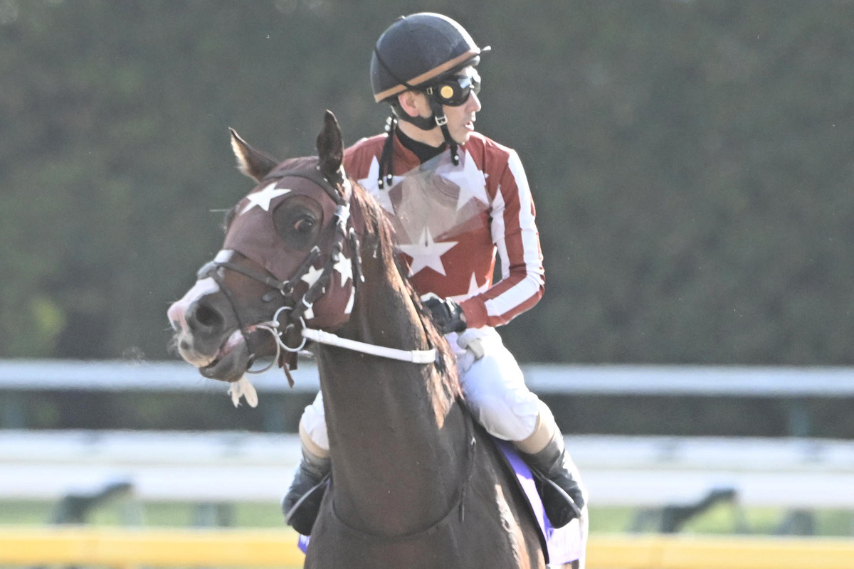 フェブラリーS】地方馬最先着はミックファイア7着 「競馬の幅が