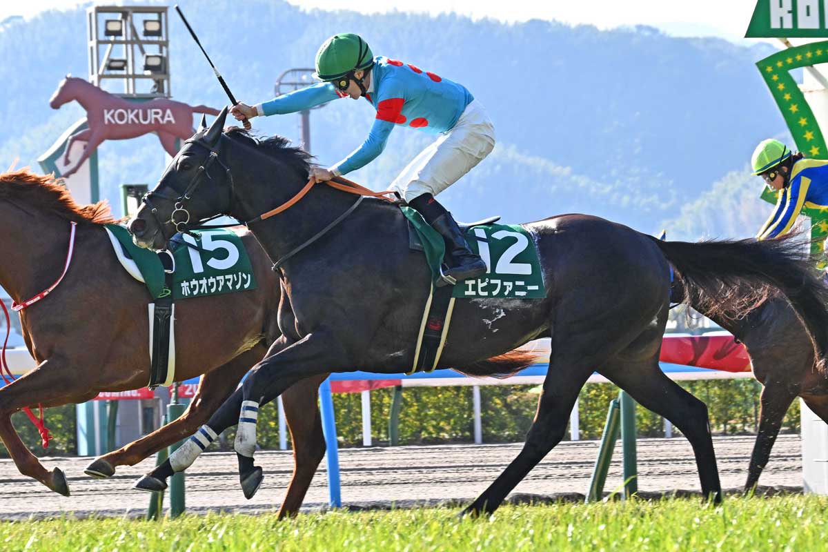 選び抜かれた2歳馬が続々移動中 重賞3勝馬の初子プリモシークエンス