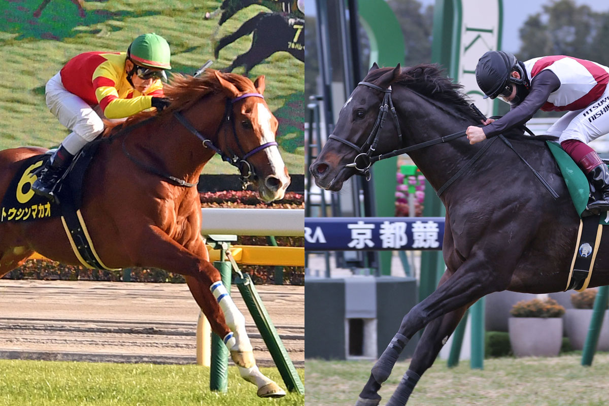 高松宮記念登録馬】〝崩れない〟ルガルか？〝勢い〟のトウシンマカオか