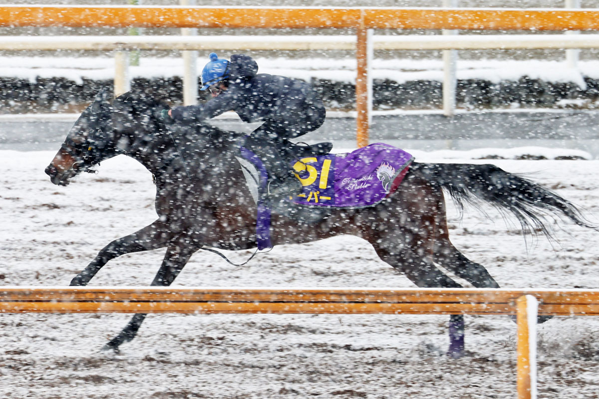 大阪杯・外厩情報】「ノーザンファームしがらき」×「牝馬」の方程式