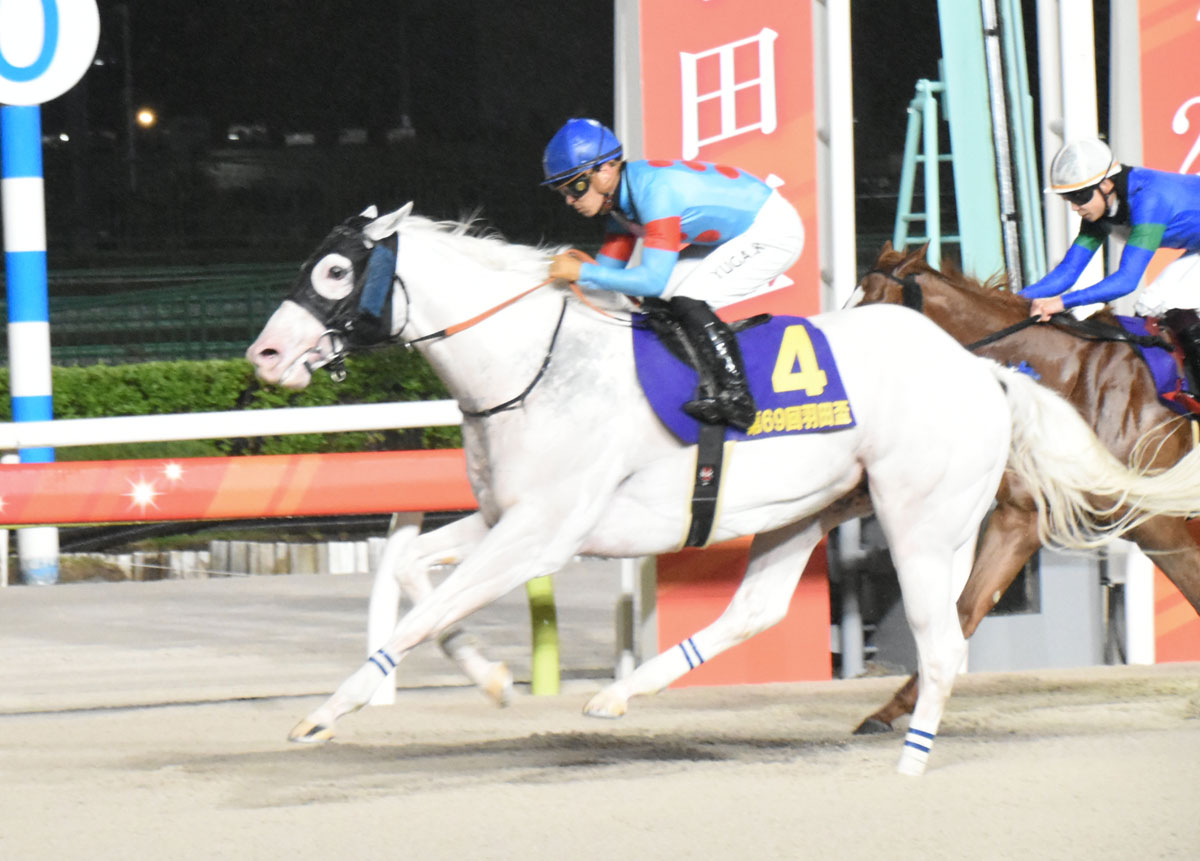 羽田盃】ダート3冠初戦はアマンテビアンコが勝利！白毛馬初のJpnⅠ 