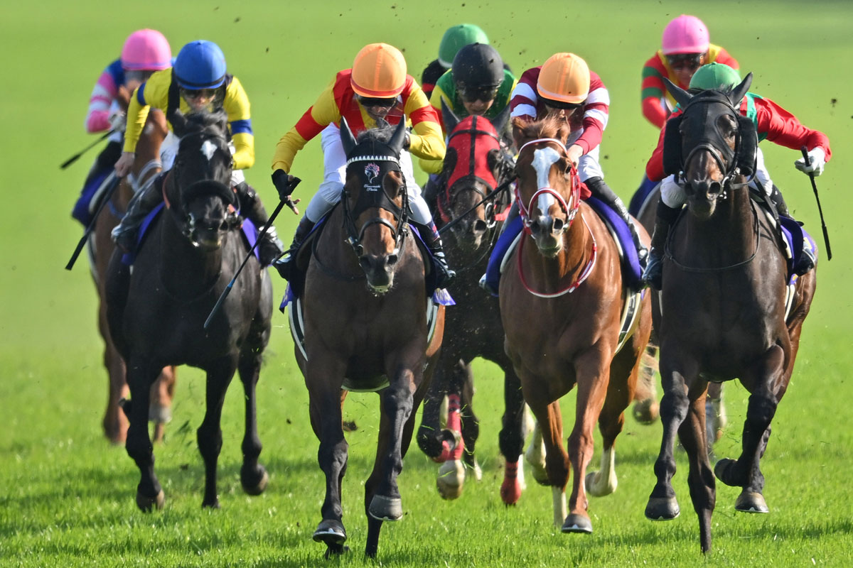 日本ダービー／出走ボーダー】優先出走権＆賞金順の想定メンバーを大