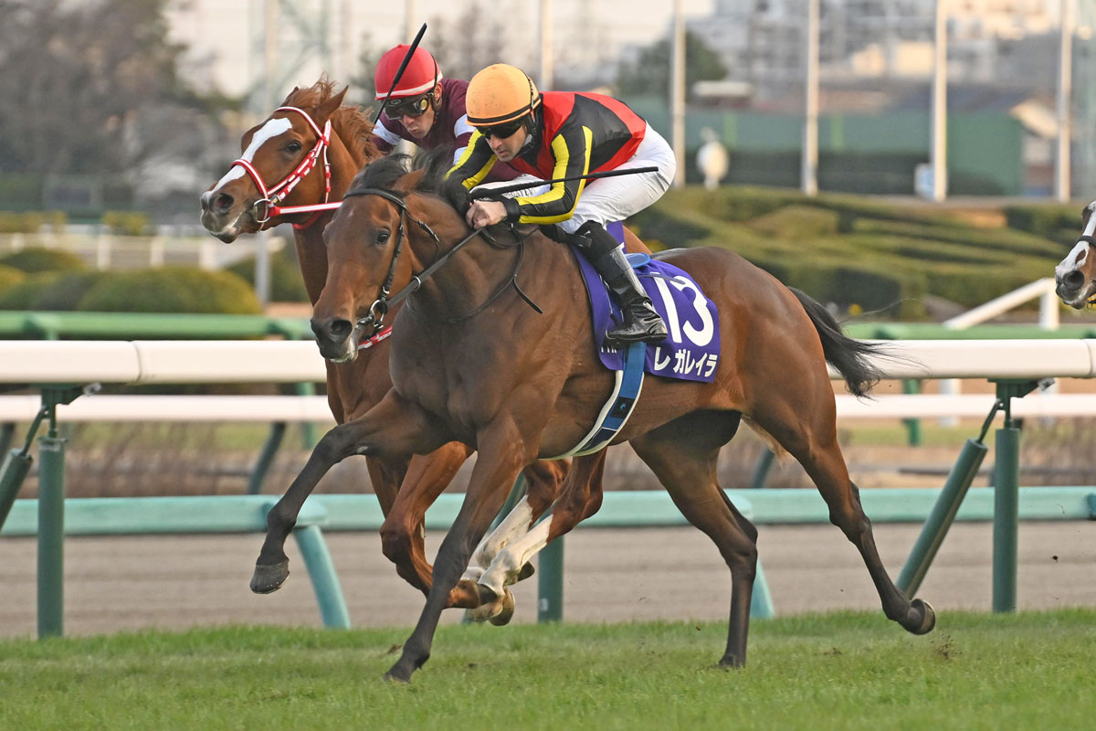 白井元調教師と学ぶ血統学【133】初年度から大爆発の種牡馬スワーヴ