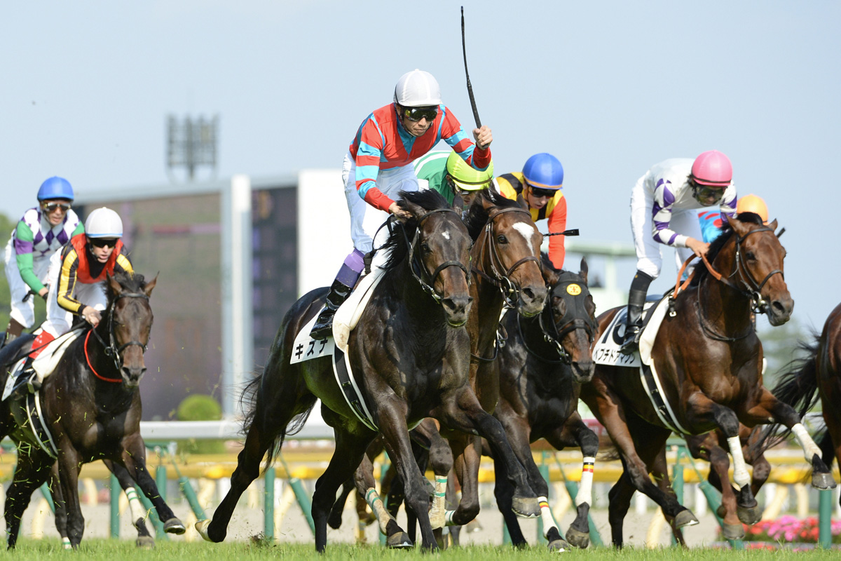 ノースヒルズと日本ダービー】武豊キズナのメモリアルV「僕は帰ってき