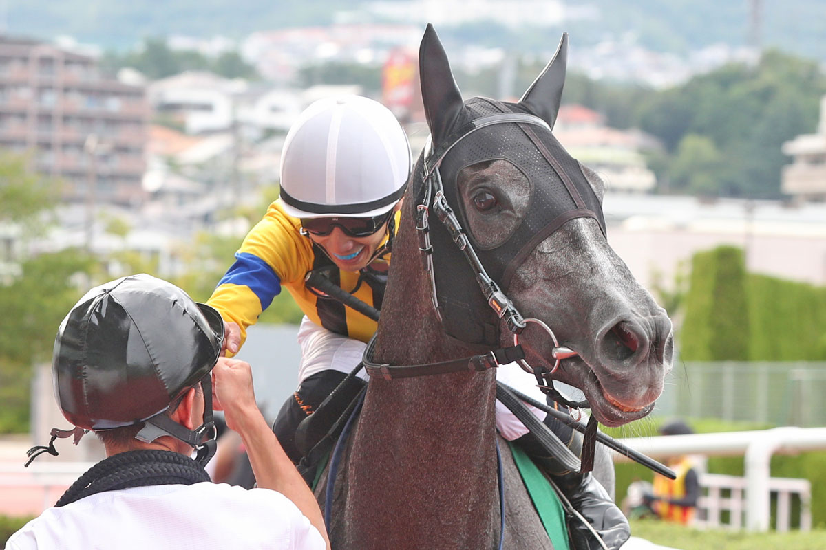 藤懸貴志 騎手 ジャージ 黒 Lサイズ ＋ ハンドタオル 水色 JRA 競馬 藤懸 貴志の騎手情報 | 競馬ラボ