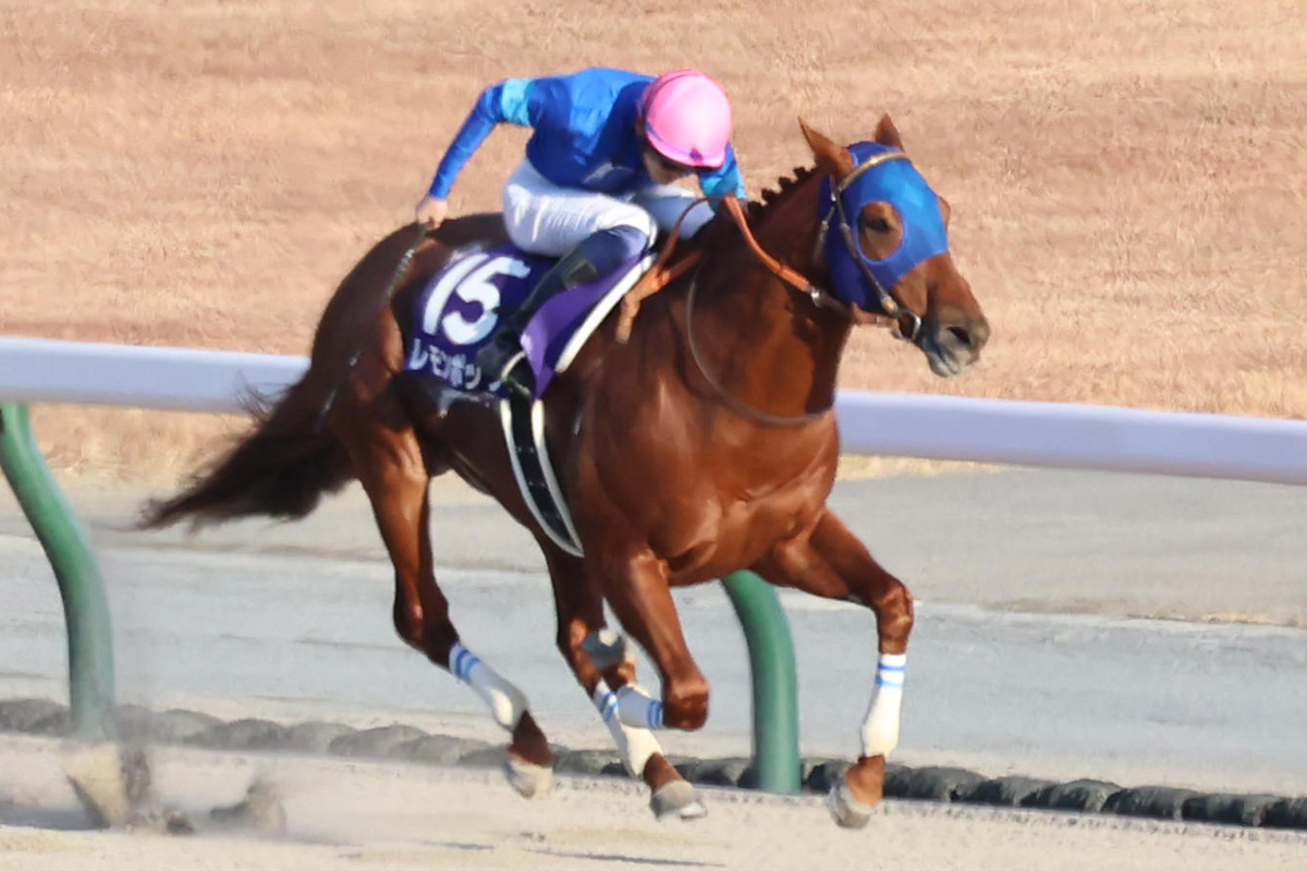 さきたま杯展望】昨年JRAダート王・レモンポップが実績面で一枚上